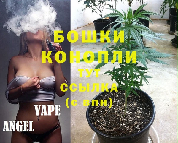 ГАЛЛЮЦИНОГЕННЫЕ ГРИБЫ Абинск